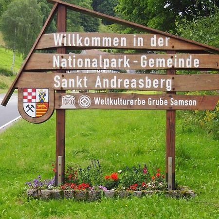 Wohnung Julius 2 Sankt Andreasberg Esterno foto
